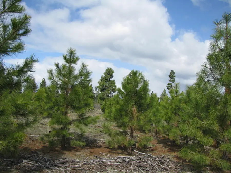 Greensprings Hwy #2200, Klamath Falls, OR 97601 - #3