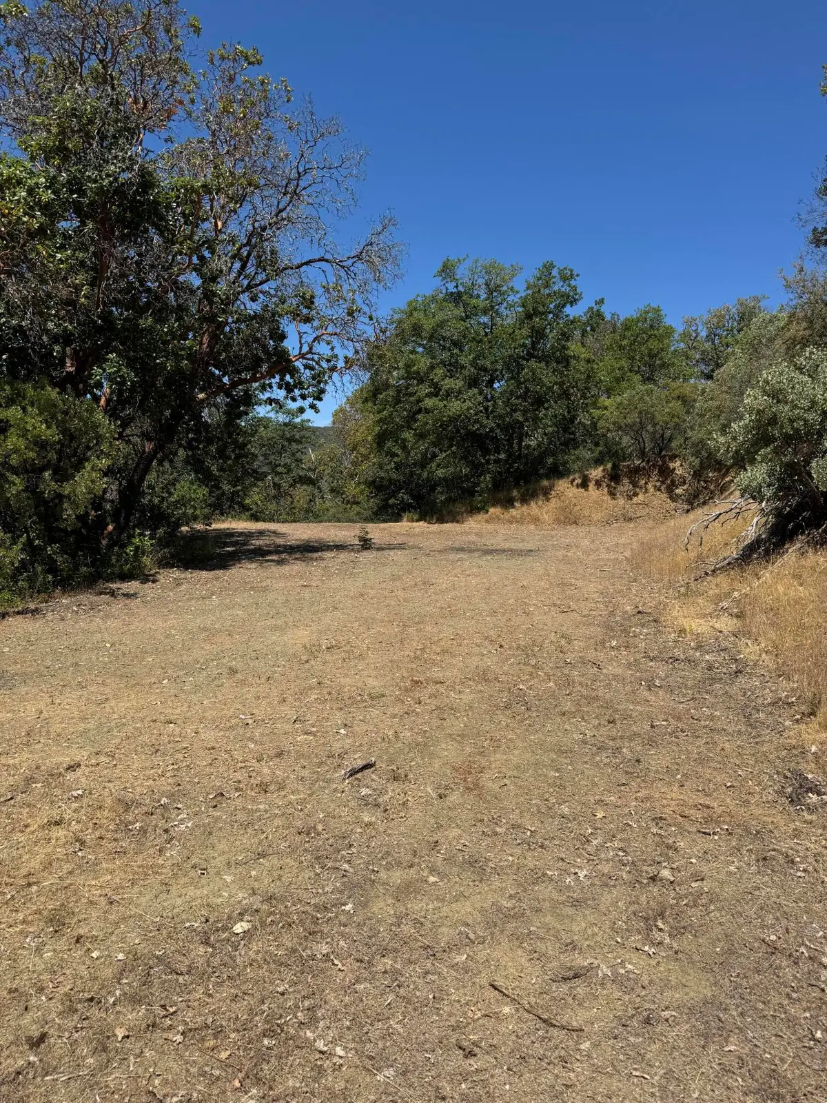 8184 Old Stage Road, Central Point, OR 97502 - #1