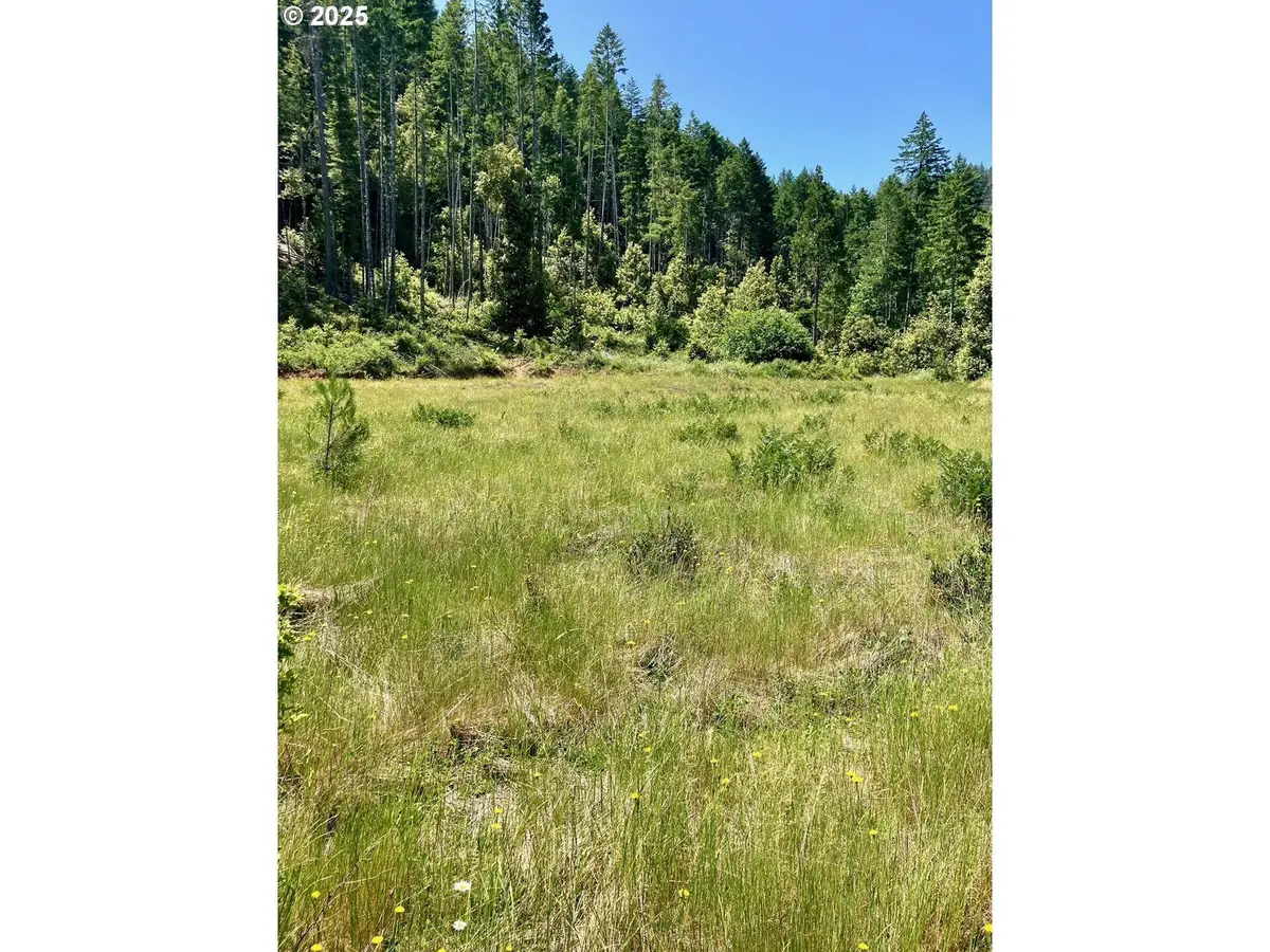 00 Redwood Highway, Obrien, OR 97534 - #1