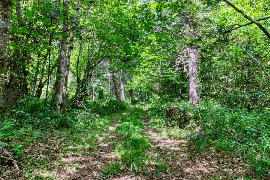 456 Garner Road, Cave Junction, OR 97523 - #3