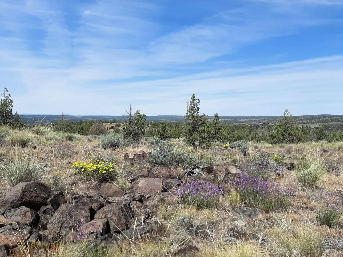 SE Weatherby Loop, Prineville, OR 97754 - #1