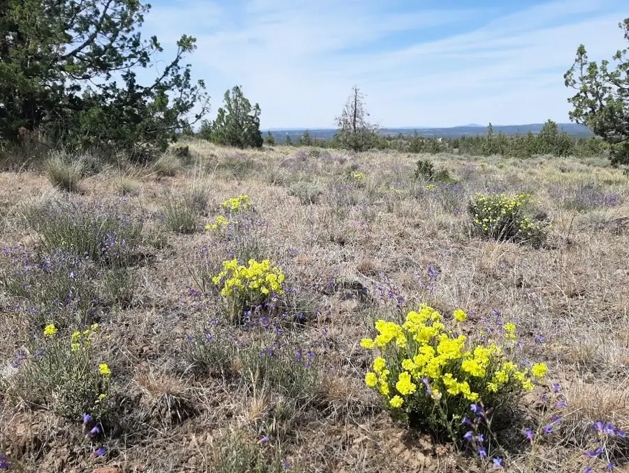 SE Weatherby Loop, Prineville, OR 97754 - #3
