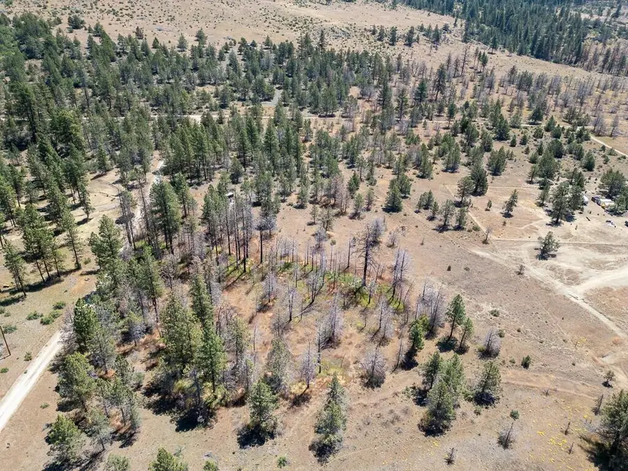 Panther Lane, Lot 6, Bonanza, OR 97623 - #3