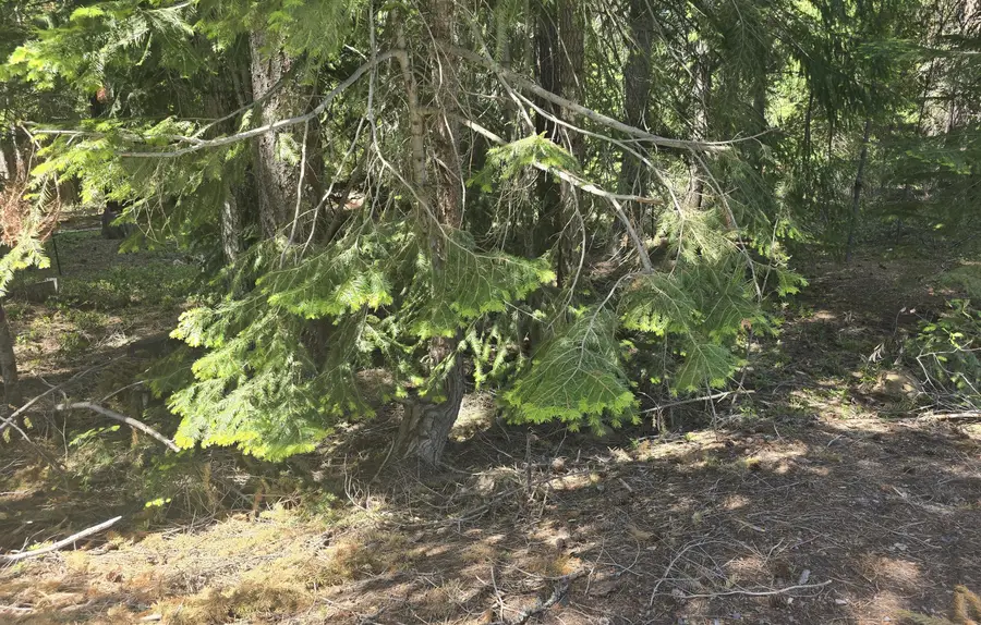 26 Diamond Peak Drive, Crescent Lake, OR 97733 - #3