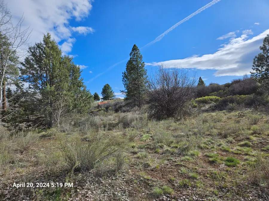 0 Forest View Drive #8, Chiloquin, OR 97624 - #3