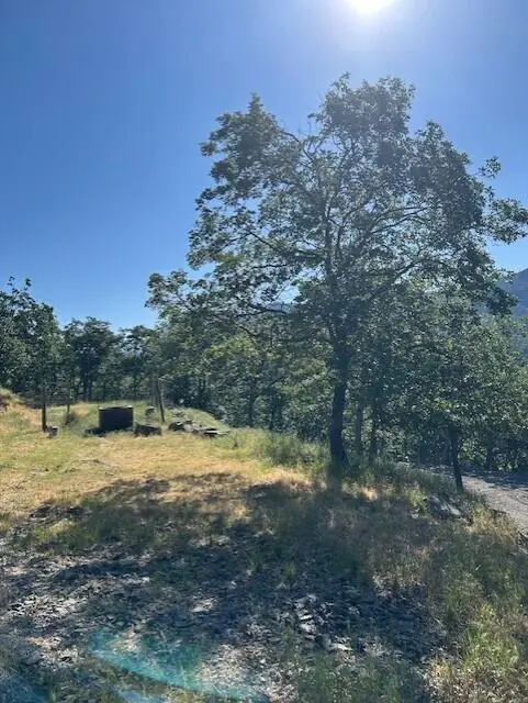 500 Conifer Way, Ashland, OR 97520