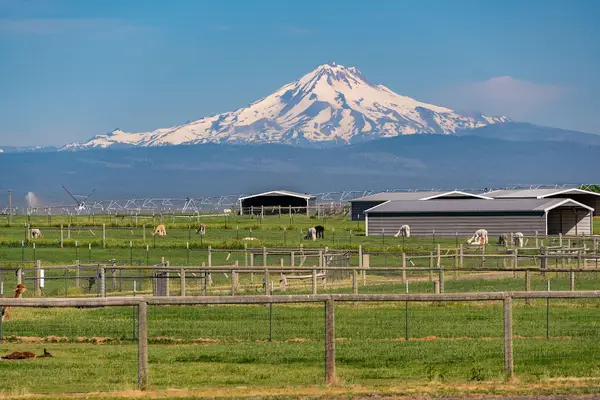 12444 SW Green Drive, Culver, OR 97734