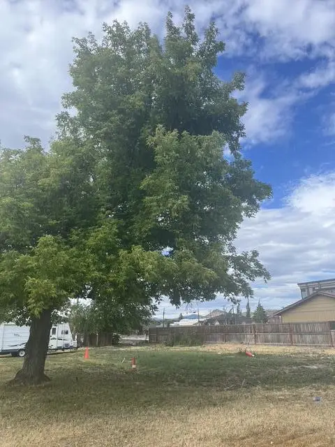 391 W 1st Street, Prineville, OR 97754 - #3