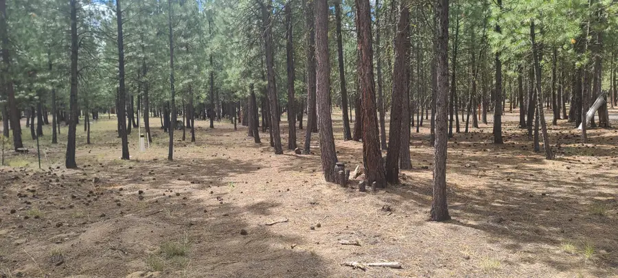 52328 Elderberry Court, La Pine, OR 97739 - #3