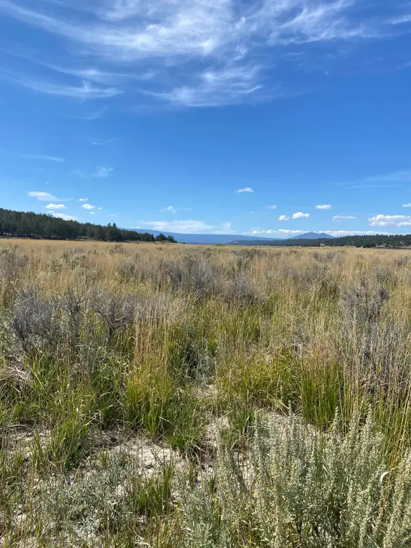 Nka Jackson Street #Lot 1 & 2, Sprague River, OR 97639