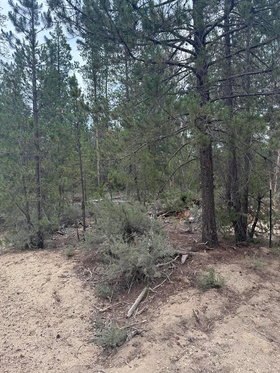 Kamloop Lane #LOT 14, Gilchrist, OR 97737 - #3