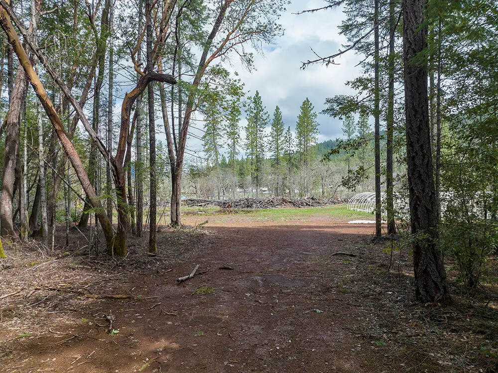 234 Lurline Lane, Cave Junction, OR 97523 - #1
