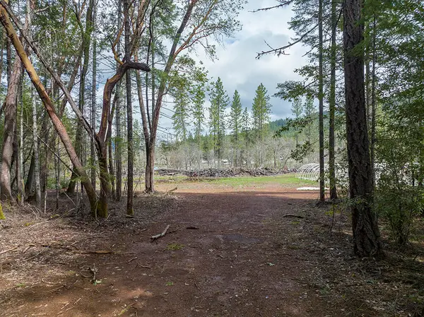 234 Lurline Lane, Cave Junction, OR 97523