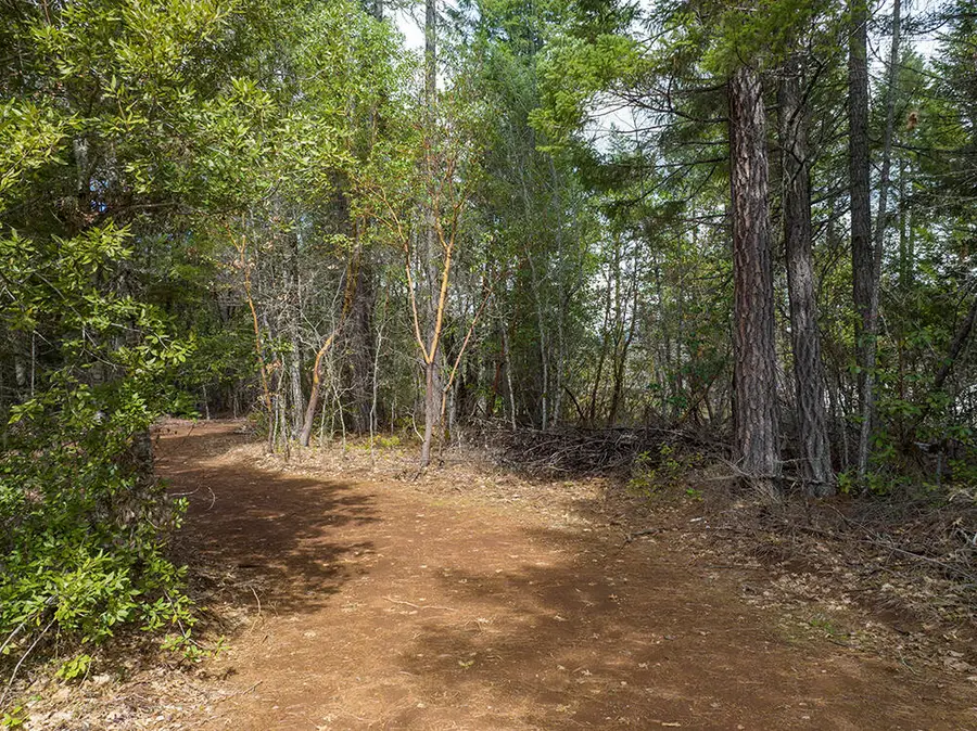234 Lurline Lane, Cave Junction, OR 97523 - #3