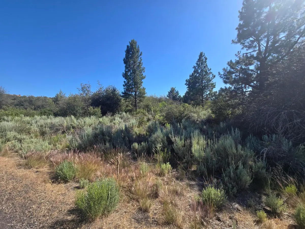 Wrightwood #Lot 28, Chiloquin, OR 97624 - #1