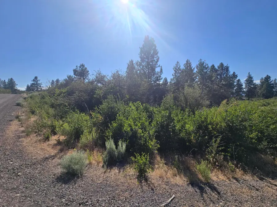 Wrightwood #Lot 28, Chiloquin, OR 97624 - #3