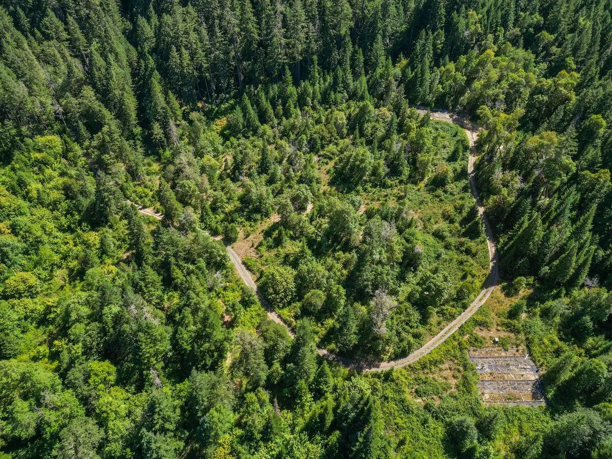 433 Old Stage Road, Wolf Creek, OR 97497 - #1