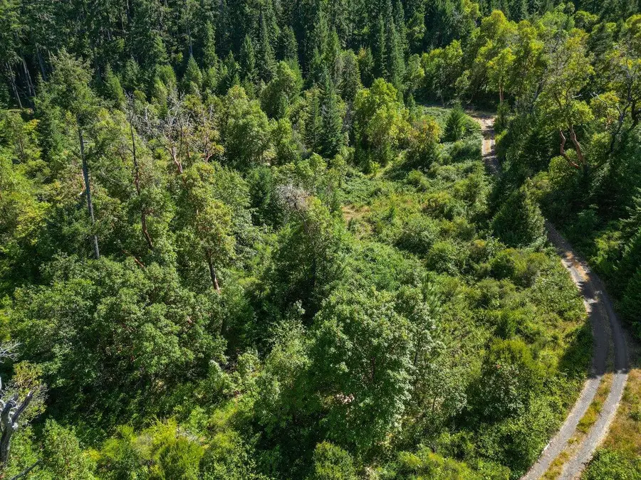 433 Old Stage Road, Wolf Creek, OR 97497 - #3