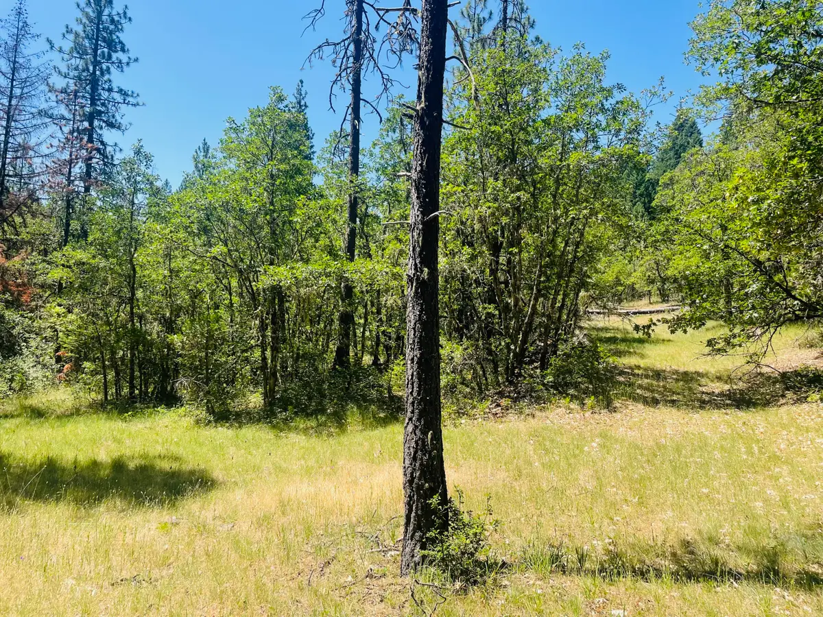 826 Ulrich Road, Prospect, OR 97536 - #1