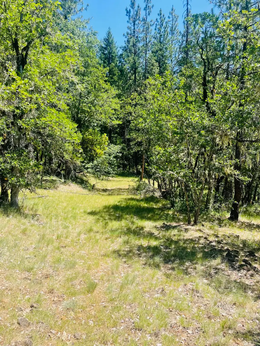 826 Ulrich Road, Prospect, OR 97536 - #3