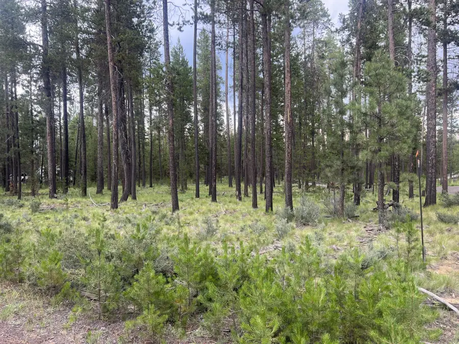 55970 Browning Drive, Bend, OR 97707 - #3