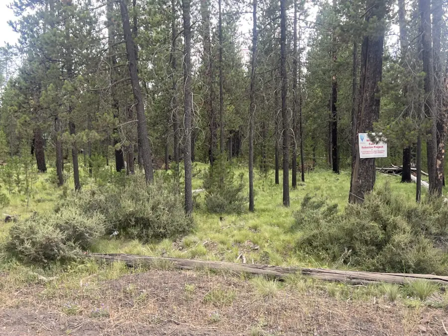 55975 Savage Drive, Bend, OR 97707 - #3