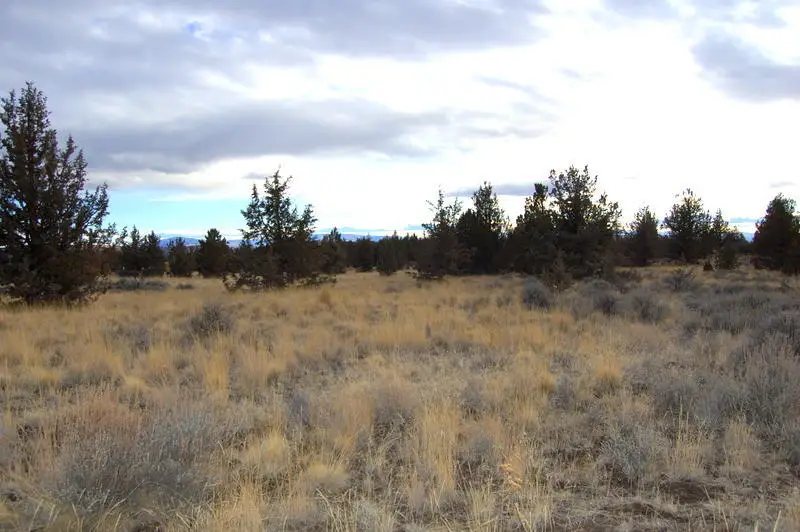Tl 2300 Iowa Avenue, Prineville, OR 97754 - #1