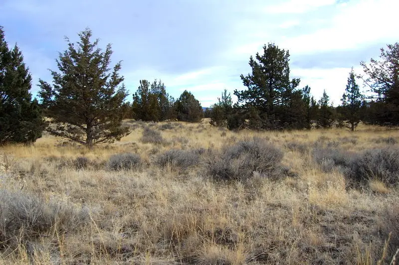 Tl 2300 Iowa Avenue, Prineville, OR 97754 - #2