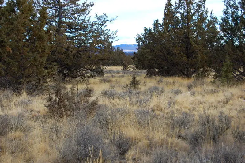 Tl 2300 Iowa Avenue, Prineville, OR 97754 - #3