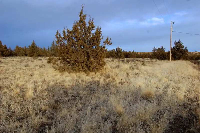 Tl 1700 Iowa Avenue, Prineville, OR 97754 - #2