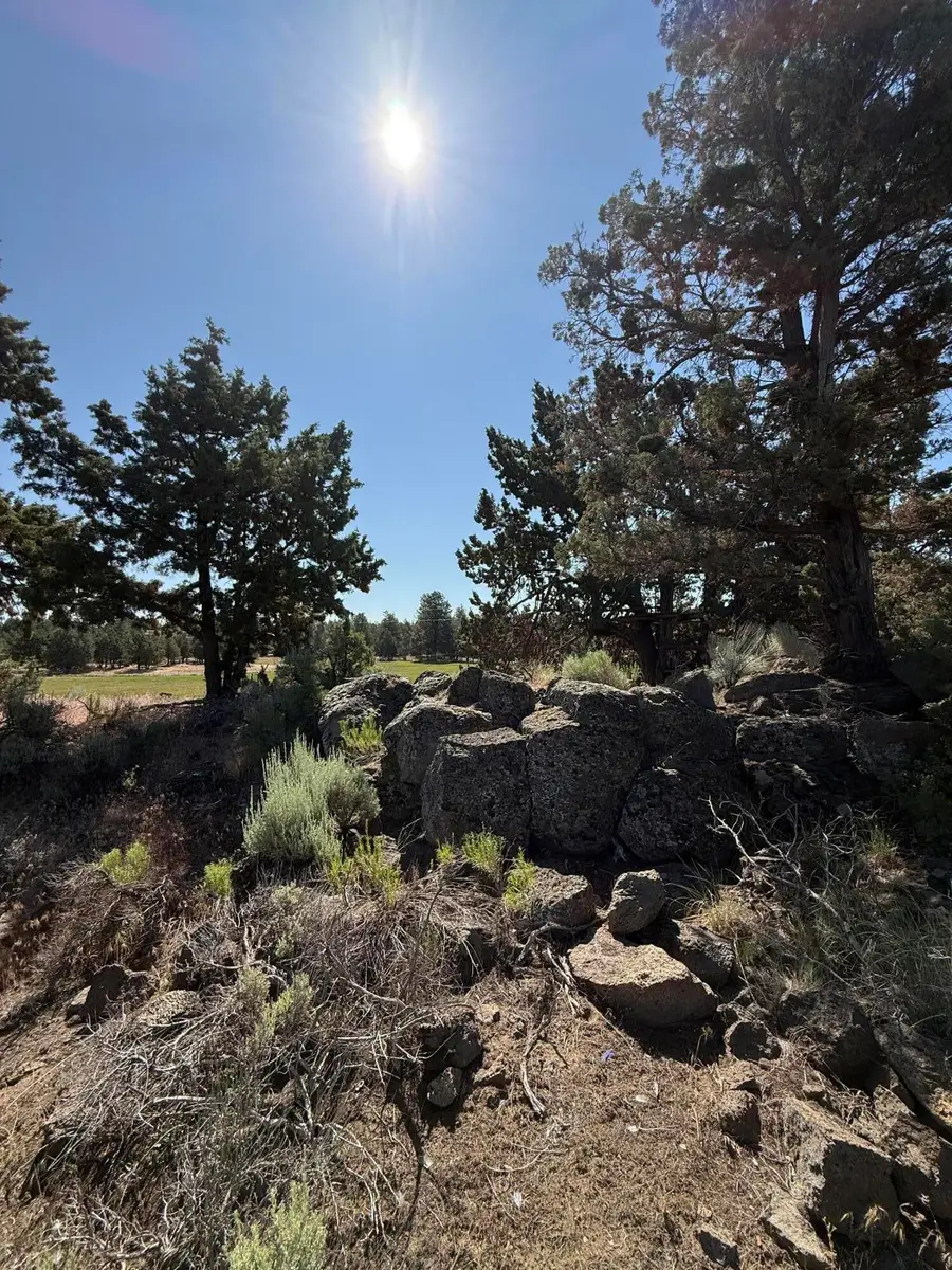 21710 Mcgilvray Road, Bend, OR 97702 - #3