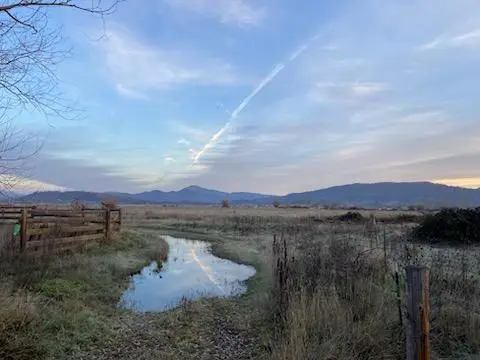 417 E Rolling Hills Drive, Eagle Point, OR 97524