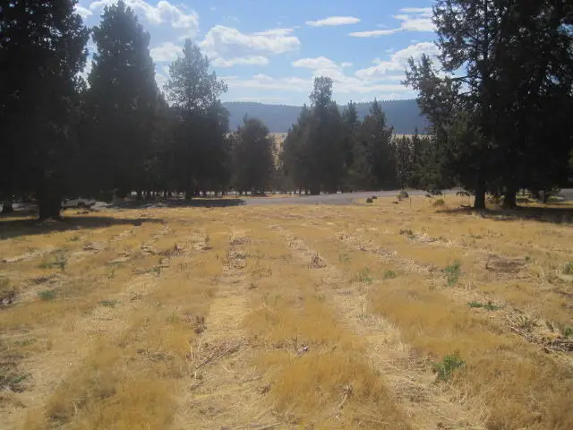 Turnstone Drive #1001, Klamath Falls, OR 97601 - #1