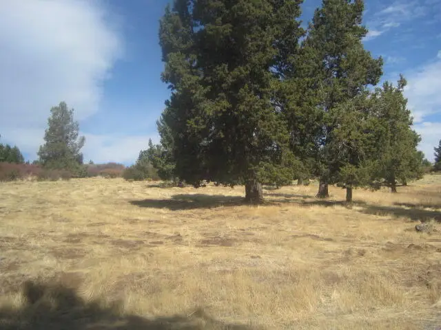 Turnstone Drive #1001, Klamath Falls, OR 97601 - #2