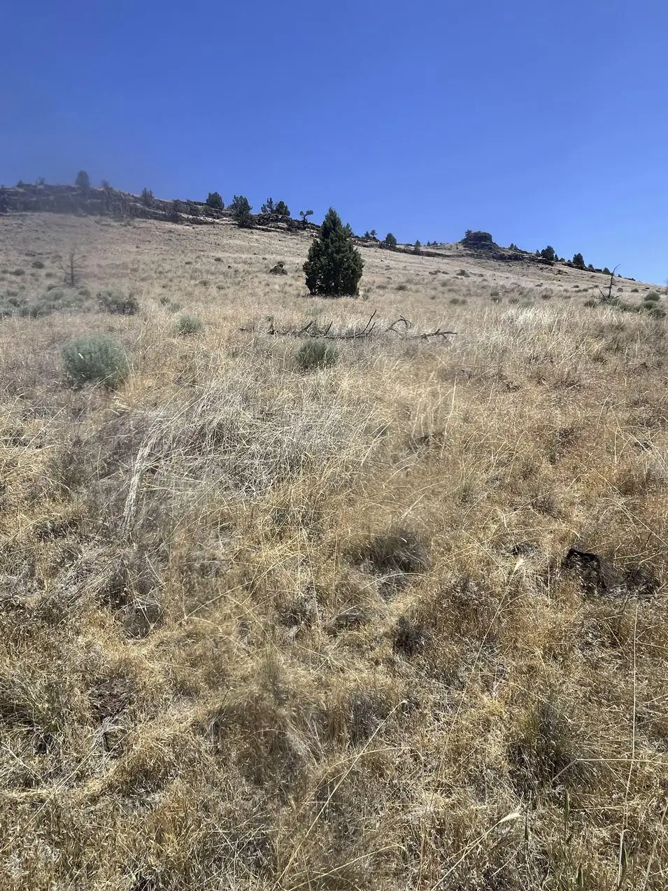 SE Hill Street #TL02400-11938, Prineville, OR 97754 - #1