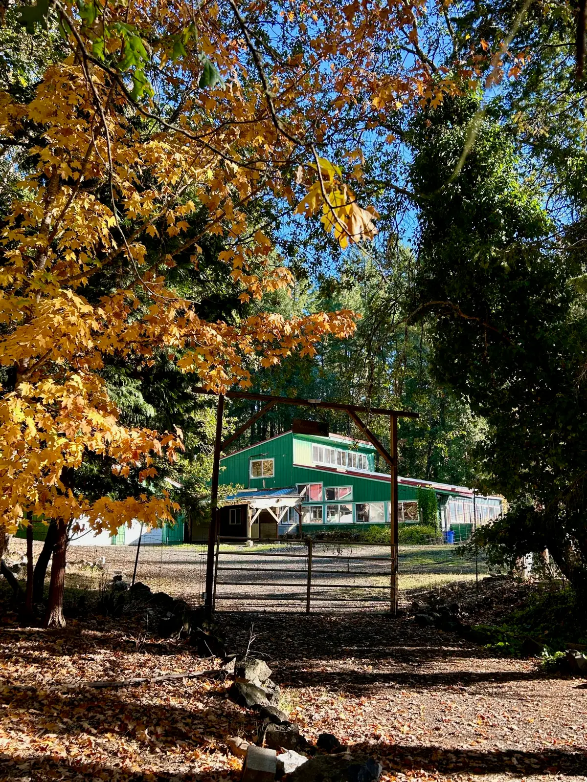 14242 Geppert Road, Butte Falls, OR 97522 - #1
