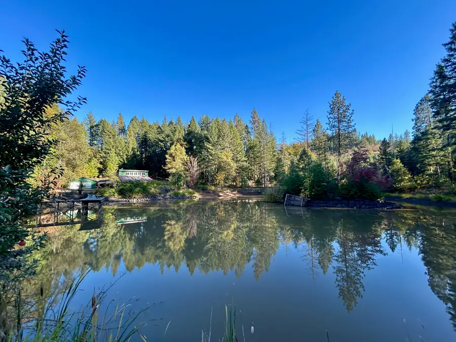 14242 Geppert Road, Butte Falls, OR 97522 - #3