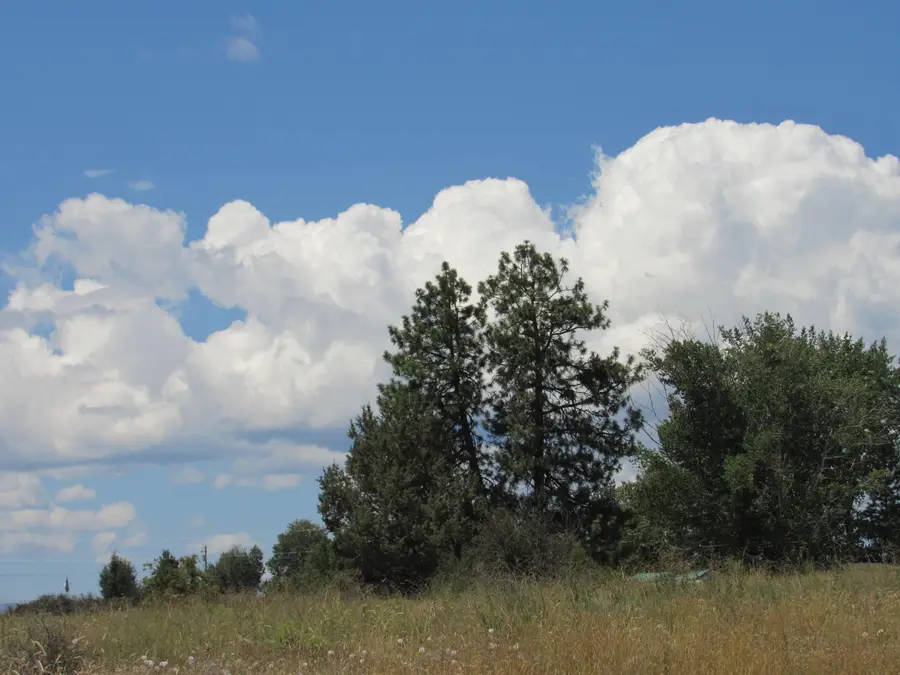 0 Juniper Wood Place, Chiloquin, OR 97624 - #2
