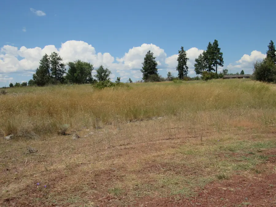 0 Juniper Wood Place, Chiloquin, OR 97624 - #3