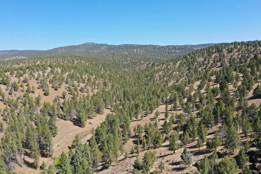 Tl 2400 Wiley Creek Road, Mount Vernon, OR 97865 - #2