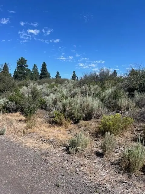 Wrightwood #Lot 17, Chiloquin, OR 97624 - #1