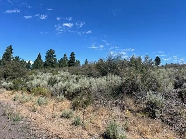 Wrightwood #Lot 17, Chiloquin, OR 97624 - #2