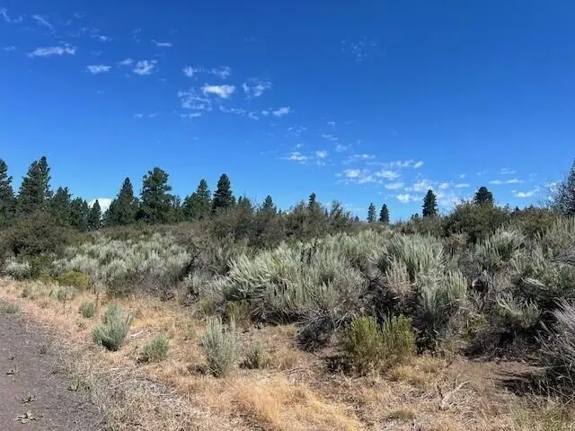 Wrightwood #Lot 17, Chiloquin, OR 97624 - #3
