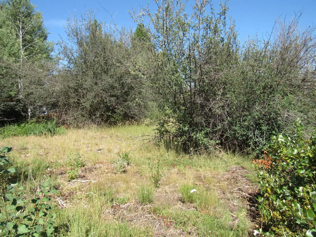 0 Forest View Drive, Chiloquin, OR 97624 - #1