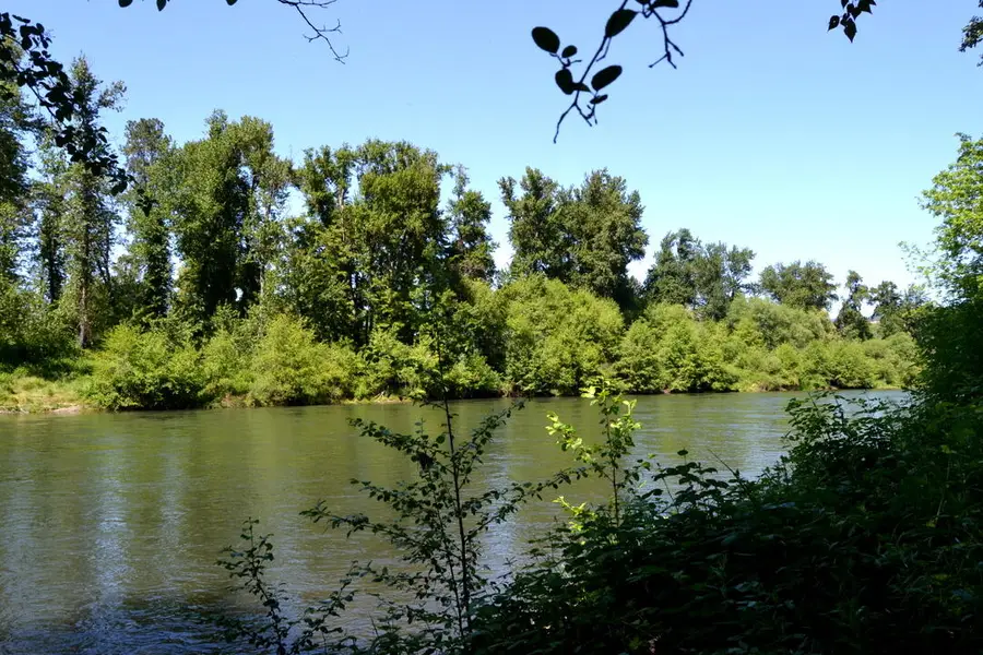 3 Gerald Place #Lot 3, Grants Pass, OR 97527 - #2
