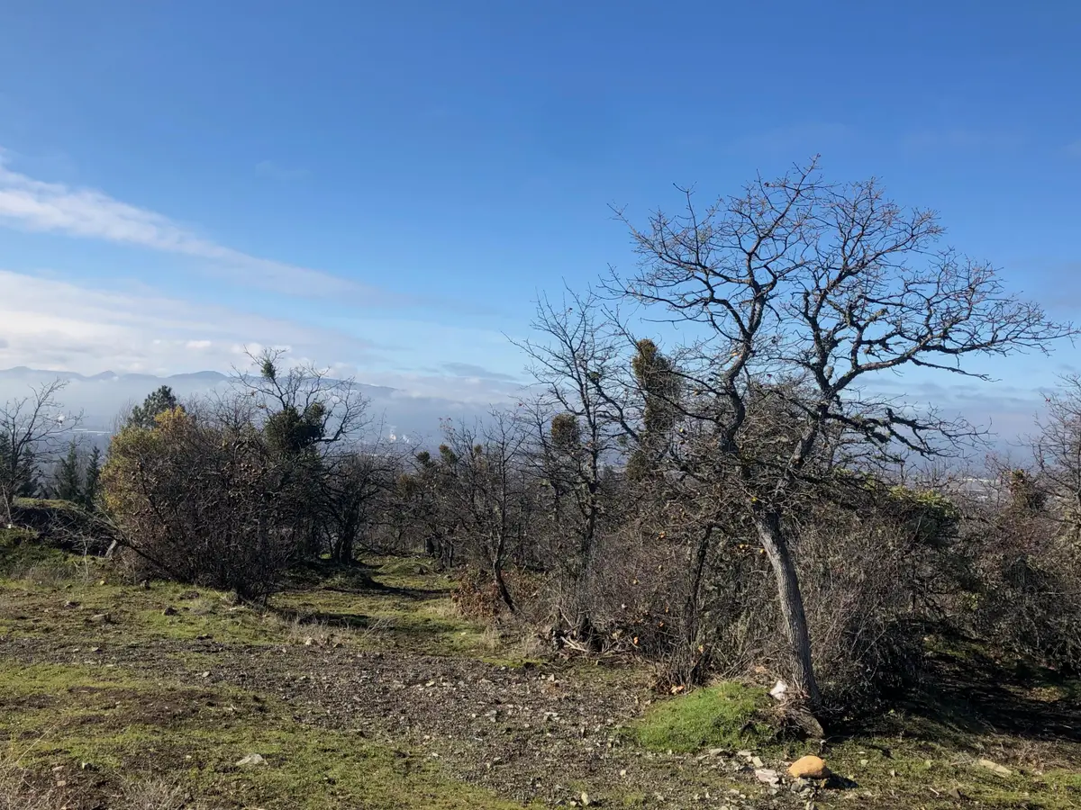 2410 N Foothill Road, Medford, OR 97504 - #1