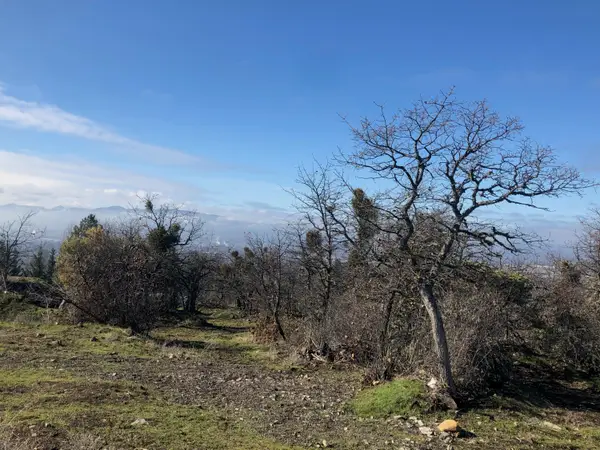 2410 N Foothill Road, Medford, OR 97504