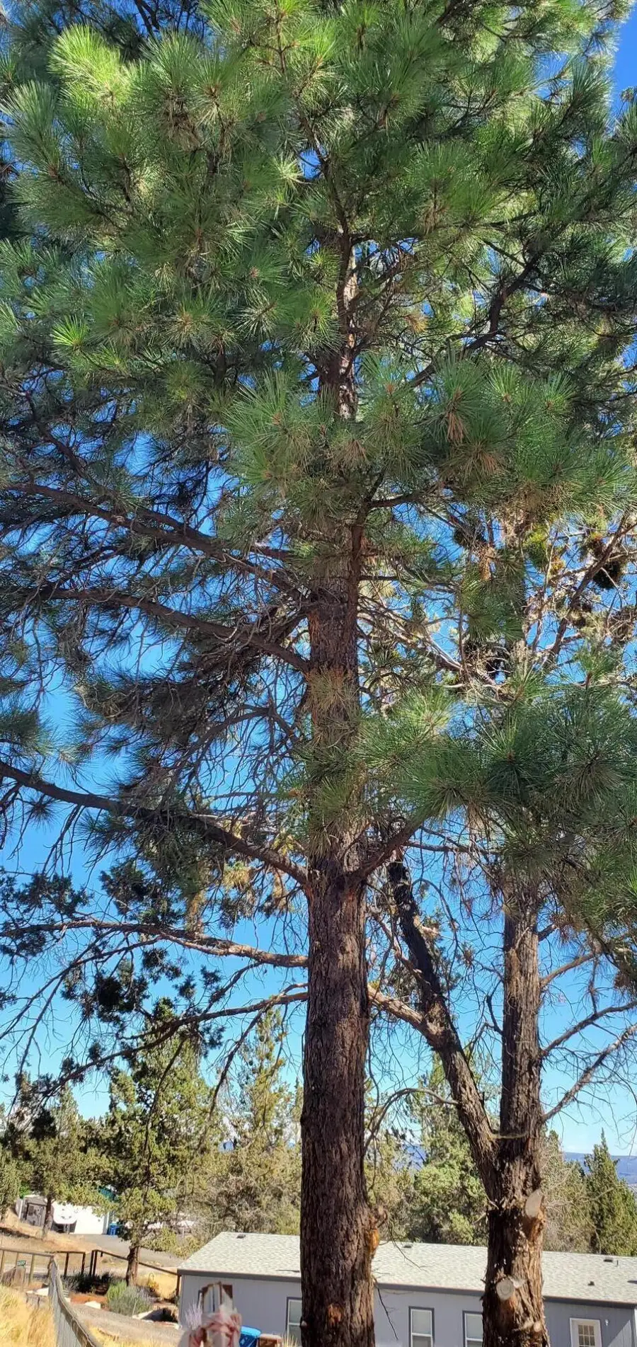 NW Circle Street #TL1700, Prineville, OR 97754 - #3