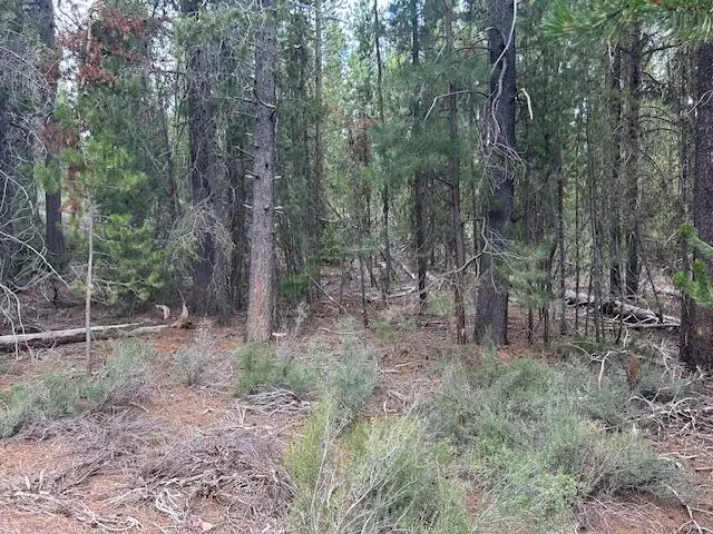 400 Hwy 58, Crescent Lake, OR 97733 - #1