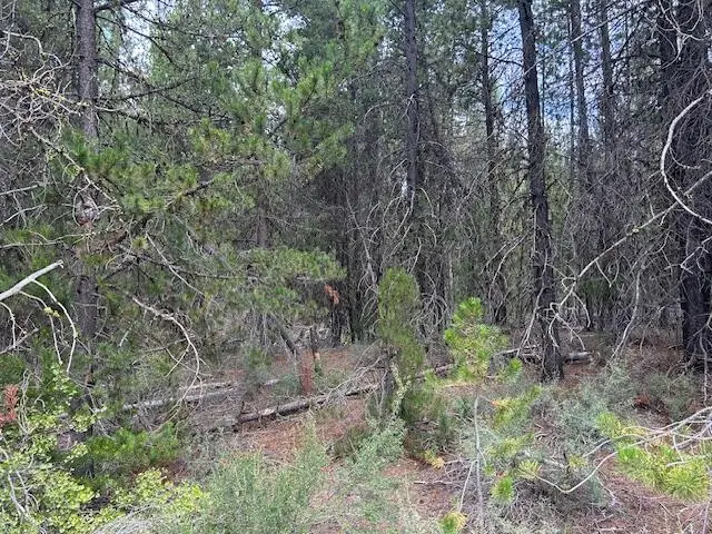 400 Hwy 58, Crescent Lake, OR 97733 - #2
